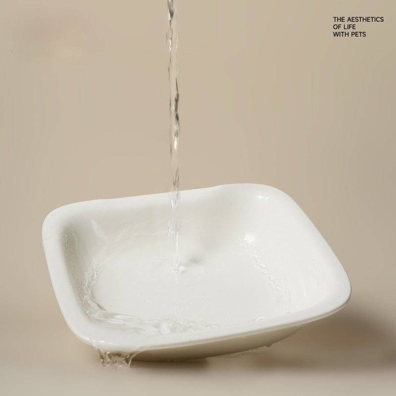 Ceramic Bowl