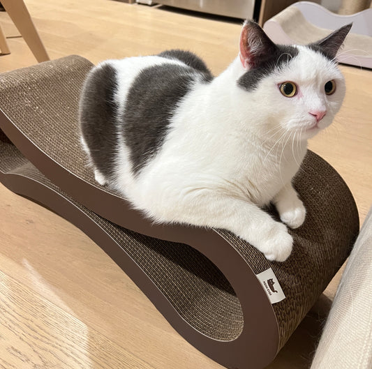 MeowEver Cat Scratcher Extra Large