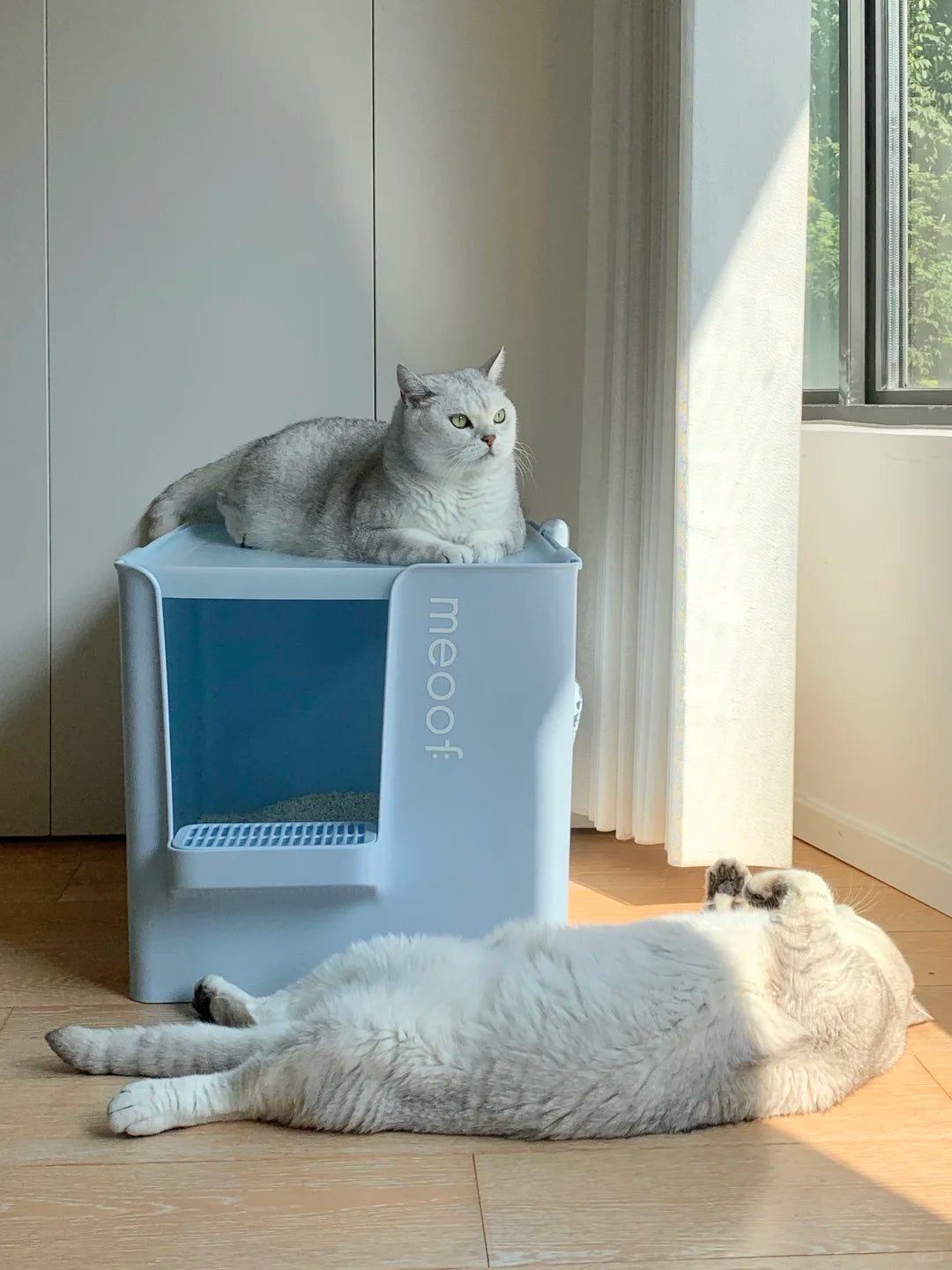 Meoof Grand Villa XL Semi-Enclosed Deep Anti-Splash Cat Litter Box