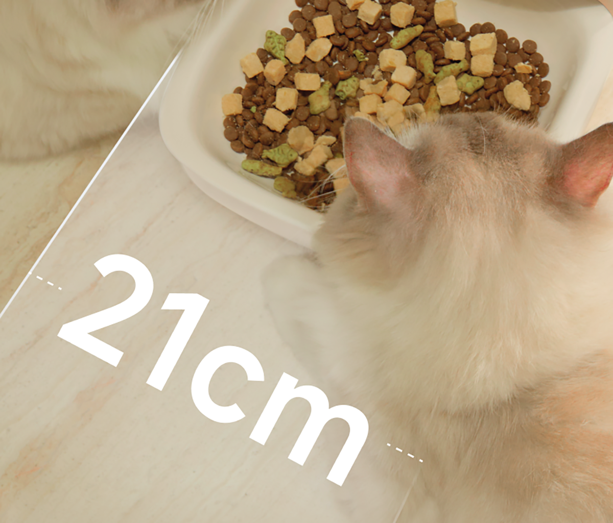 Meoof Mousse Smart Pet Feeder(with camera)