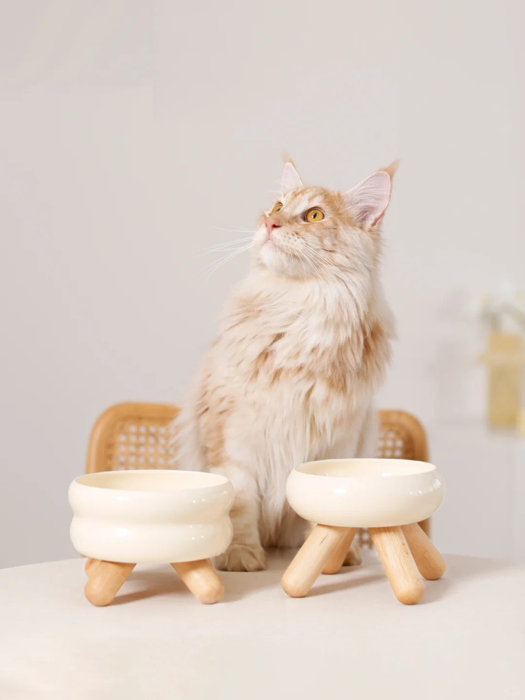 Meoof gulu bowl pet food bowl water bowl cat bowl ceramic colorful dog feeding bowl kitten food basin supplies