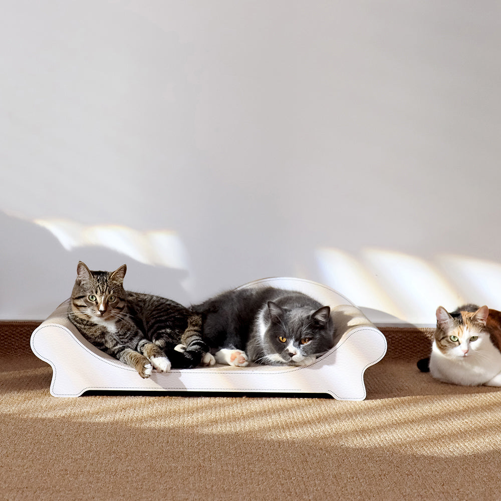 MEOWEVER Sofa Cat Scratcher  Extra-Large Ergonomic Lounge Made from Recyclable Cardboard