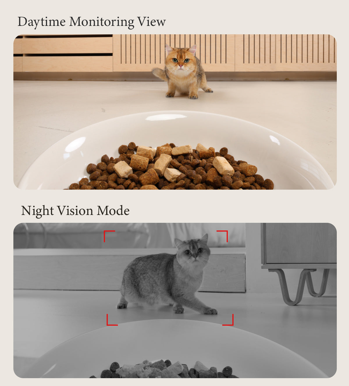Meoof Swissroll Smart Pet feeder(with camera)